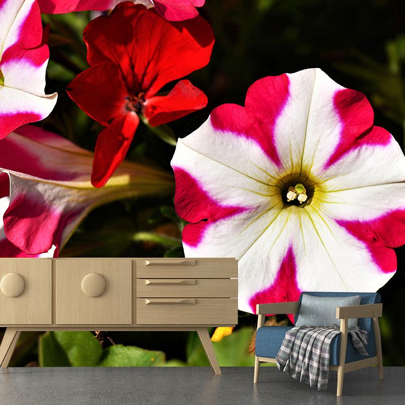 Beautiful Petunia Mural Wallpaper Mildew Resistant for Living Room Decor