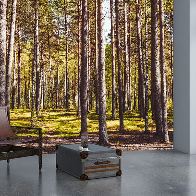 Forest Scenery Mildew Resistant Wallpaper Environmental Sleeping Room Wall Mural