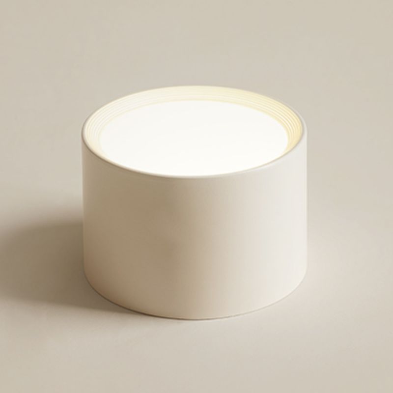 Modern Minimalist LED Flush Mount Iron Cylindrical Ceiling Light with Acrylic Shade