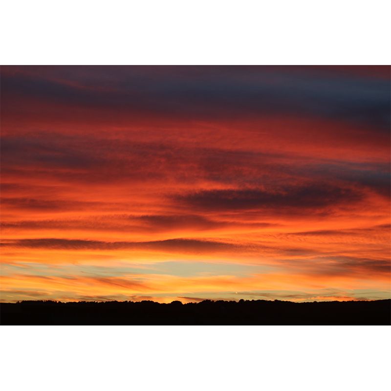 Beautiful Sky Mural Decal for Meeting Room Water Resistant, Custom Size