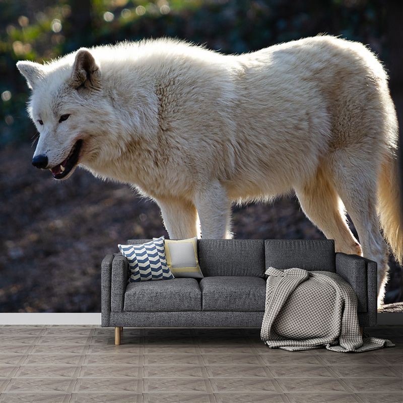 Wolf Animal Mural Wallpaper for Living Room Bedroom, Custom Size Available