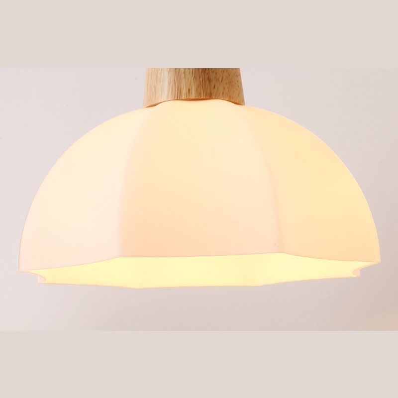 Noordse stijl cirkel hanglamp lamp armatuur houten eetkamer hanger plafondlicht