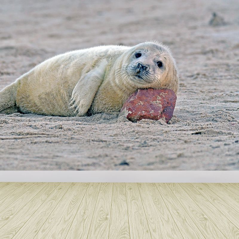 Lovely Seal Wall Paper Murals Contemporary Style Photography for Home Decor