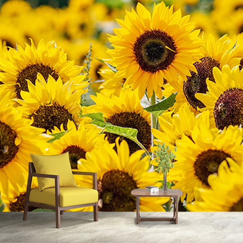 Modern Style Mural Wallpaper Flowers Photography Indoor Wall Mural