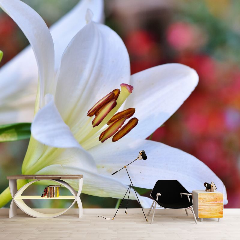 Horizontal  Photography Lily Wall Mural for Living Room Girls Women Bedroom