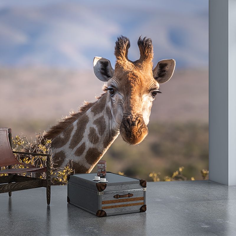 Giraffe Custom Photography Wall Murals Moisture Resistant, Made to Measure
