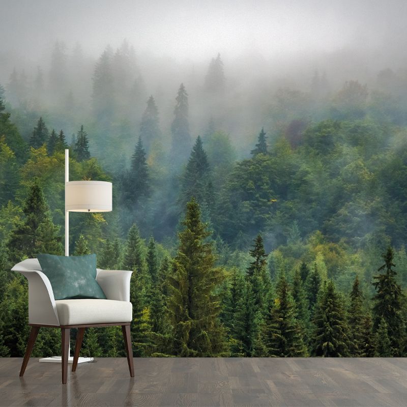 Photography Beautiful Forest View Mural Decorative Wallpaper Decor for Living Room
