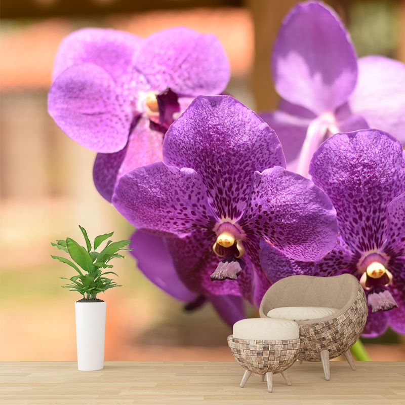 Cymbidium Photo Mural Decal Modern Wall Decor for Sleeping Room, Waterproofing