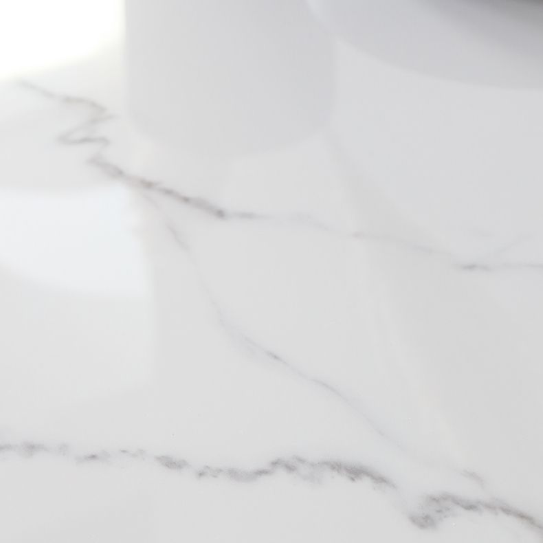 Modern Style Sintered Stone Dining Set with 4 Legs Fixed Table Dinette Set for Dining Room