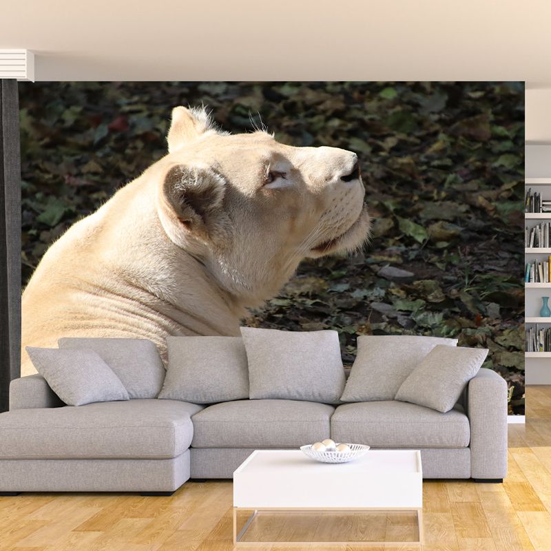 Lioness Animal Wall Mural Modernism Mildew Resistant Wall Decor for Living Room