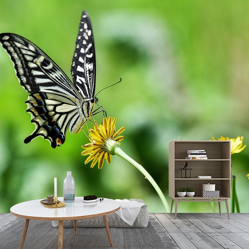 Customized Swallowtail Butterfly Mural Horizontal Photography for Sleeping Room