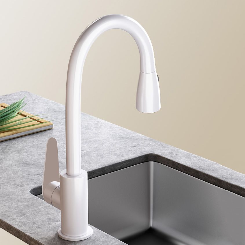 Contemporary Swivel Spout Standard Kitchen Faucet with Pull Down Sprayer