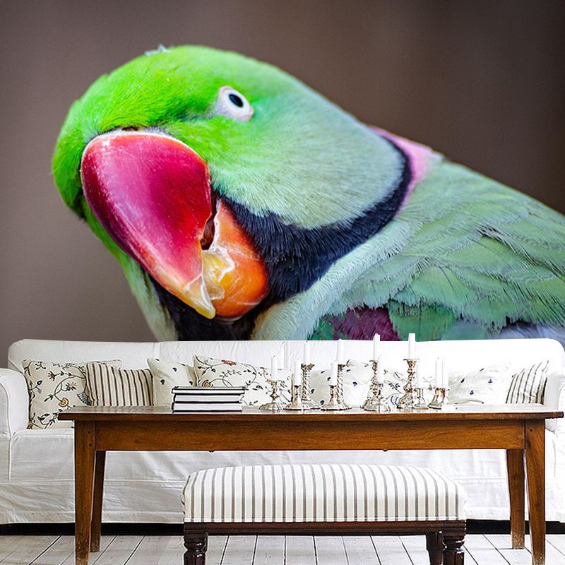 Bird Mildew Resistant Wild Animal Mural Contemporary Photography Bedroom Wall Mural