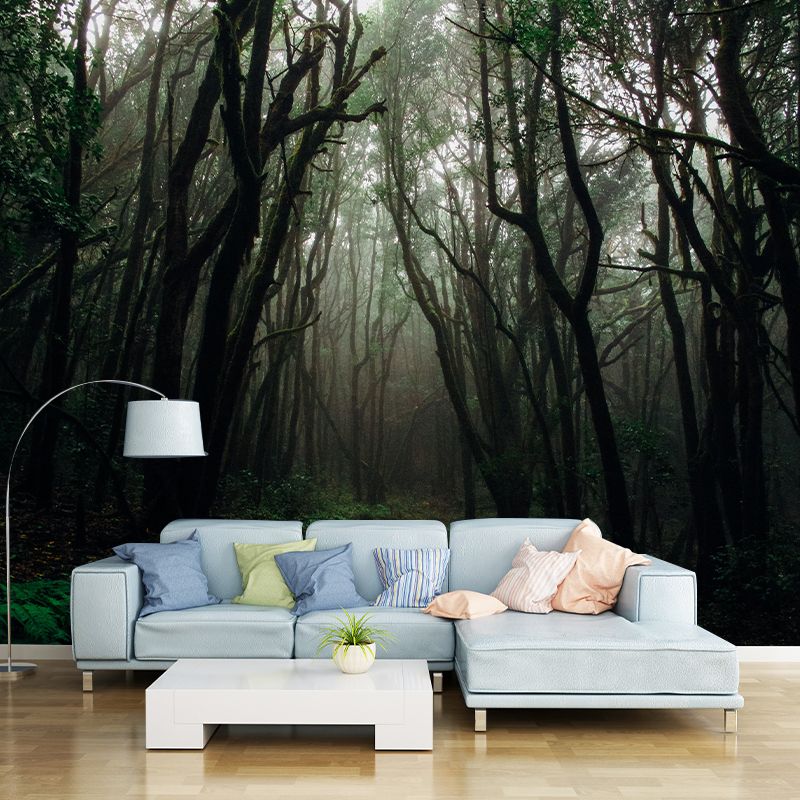 Photography Environment Friendly Wallpaper Forest Bedroom Mural Wallpaper