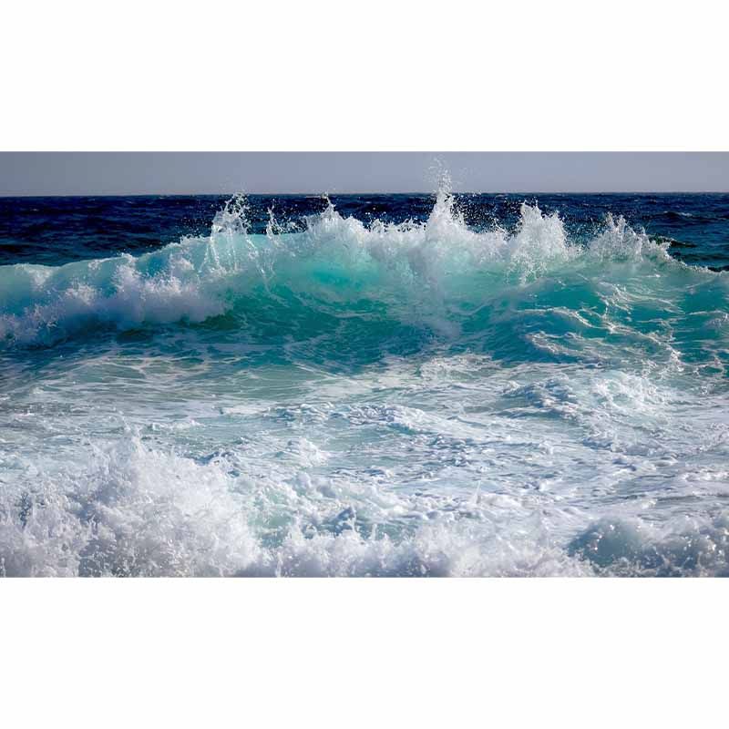 Sea Print Tropical Peel and Stick Wall Mural Photography Stain Resistant