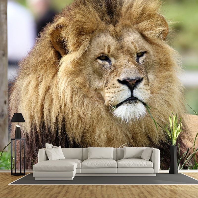 Wild Animal Lion Mural Wallpaper for Living Room, Multiple Sizes Available