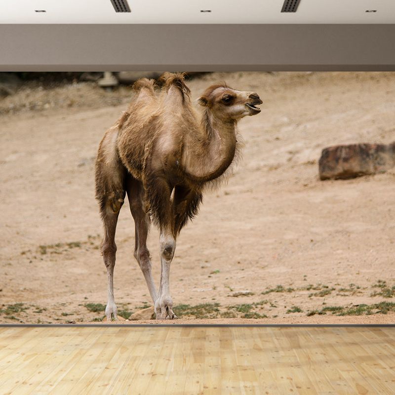 Desert Camel Wall Paper Moisture Resistant Living Room Wall Decor, Custom Size Available