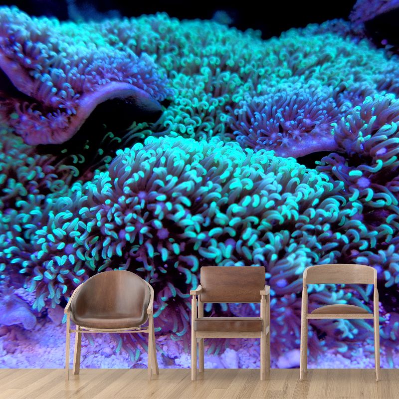 Sea Creatures Wall Mural for Sleeping Room, Water Resistant, Made to Measure