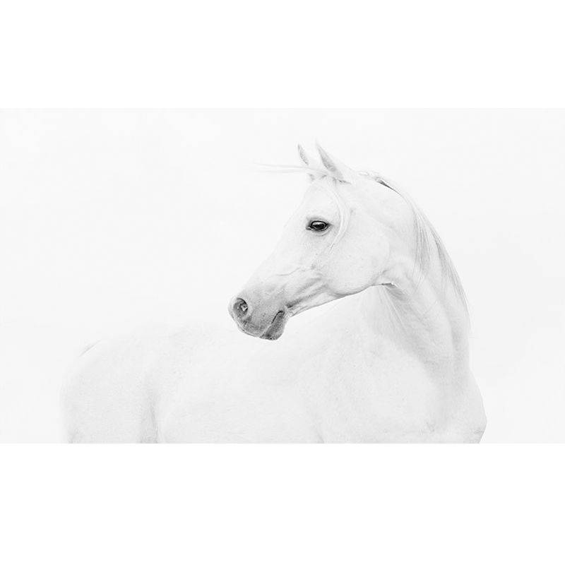 Custom Photography Simple Wall Mural for Living Room Decor with Horse Pattern in Black and White