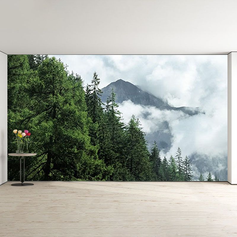 Natural Scene Contemporary Style Forest Mural Horizontal Photography Room Wall Mural