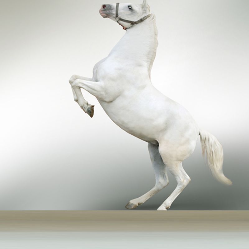 Huge Horse Mural Decal for Kitchen Animals Wall Art in Light Color, Stain Resistant