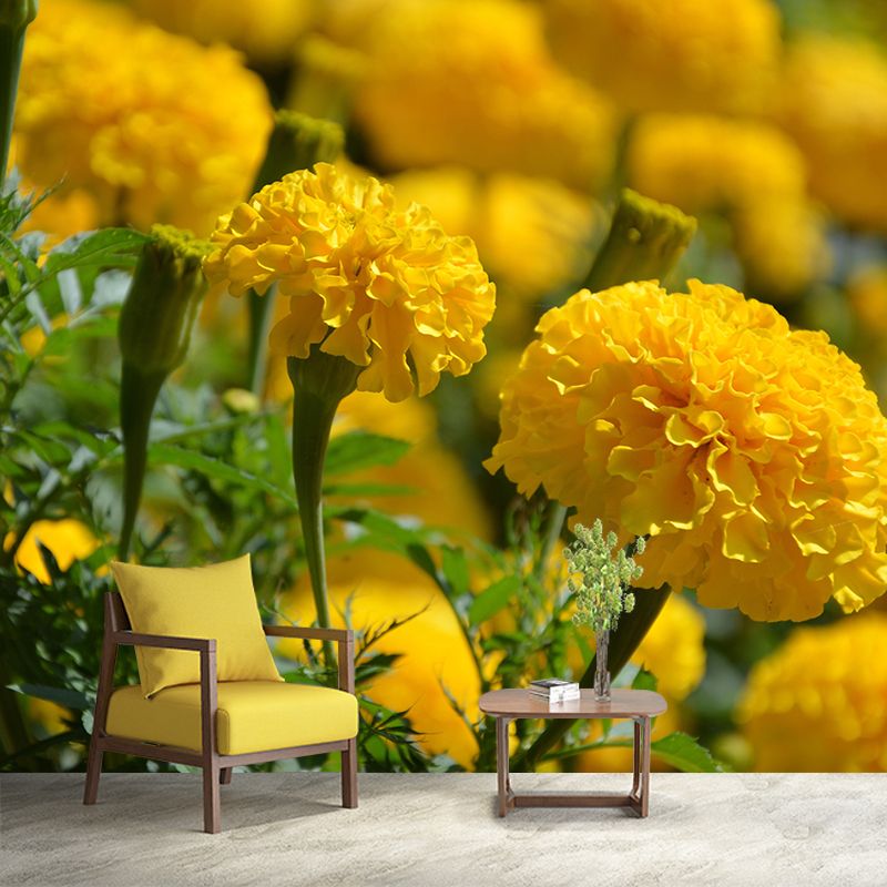 Modern Marigold Mural Wallpaper Stain Resistant Wall Covering for Living Room