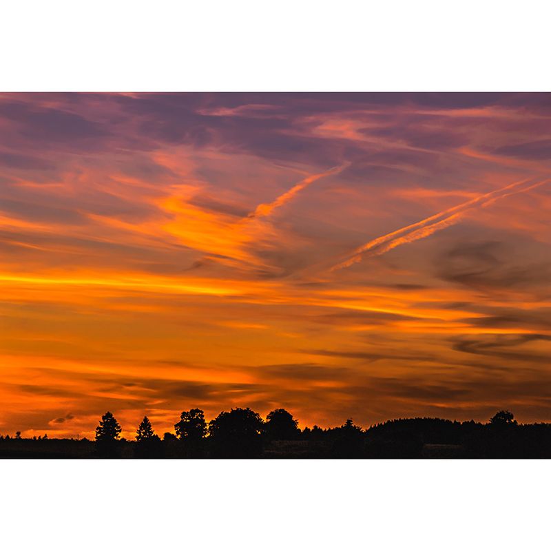 Customized Modern Sky Wall Mural Moisture Resistant Wall Covering for Home