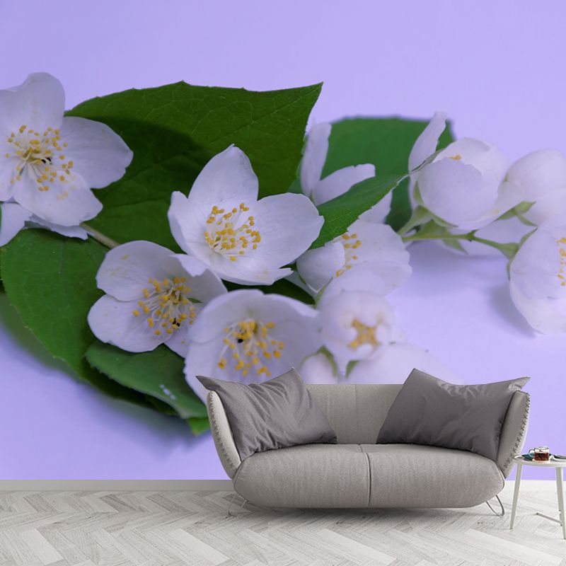 Jasmin Contemporary Style Mural Wallpaper Wall Covering for Living Room Decoration