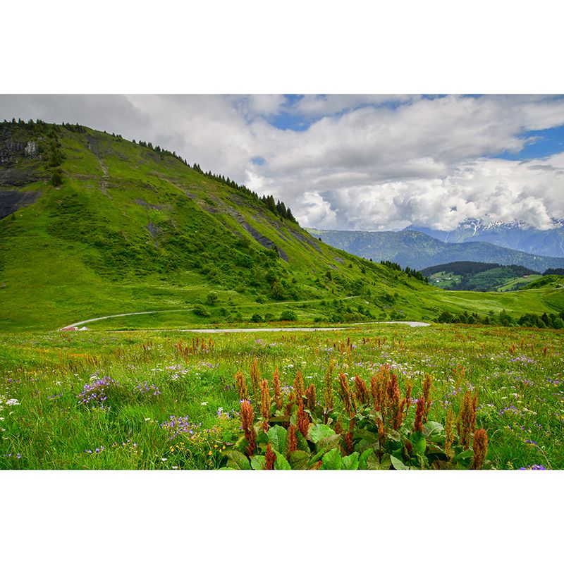 Mountain Landscape Contemporary Stain Resistant Wall Decor for Sleeping Room