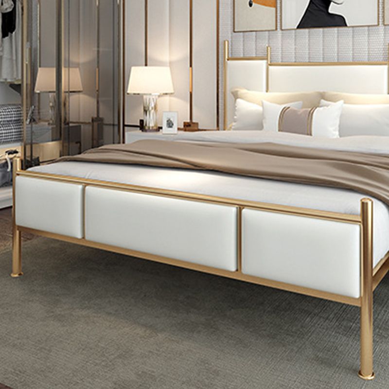 Metal Bed Frame Contemporary Standard Bed with Custom Gold Legs