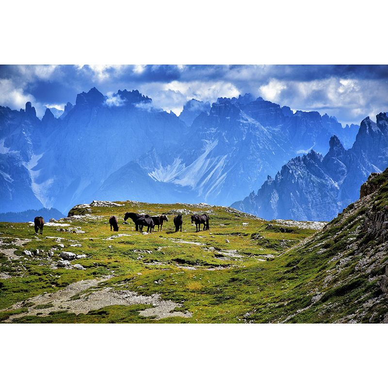 Mountains Mildew Resistant Mural Wallpaper Living Room Wall Mural