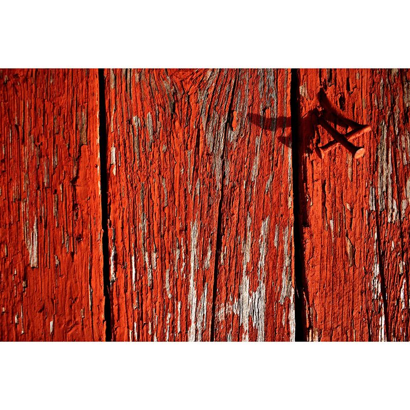 Wood Grain Mural Modern Smooth Wall Covering for Sleeping Room, Stain Resistant