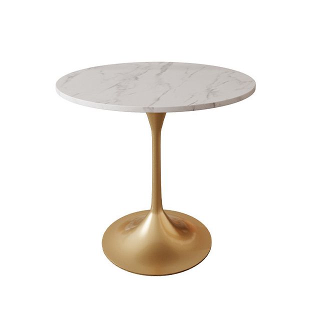 Glam Sintered Stone Dining Room Set Standard Height Metal Leg Dining Set with Round Table