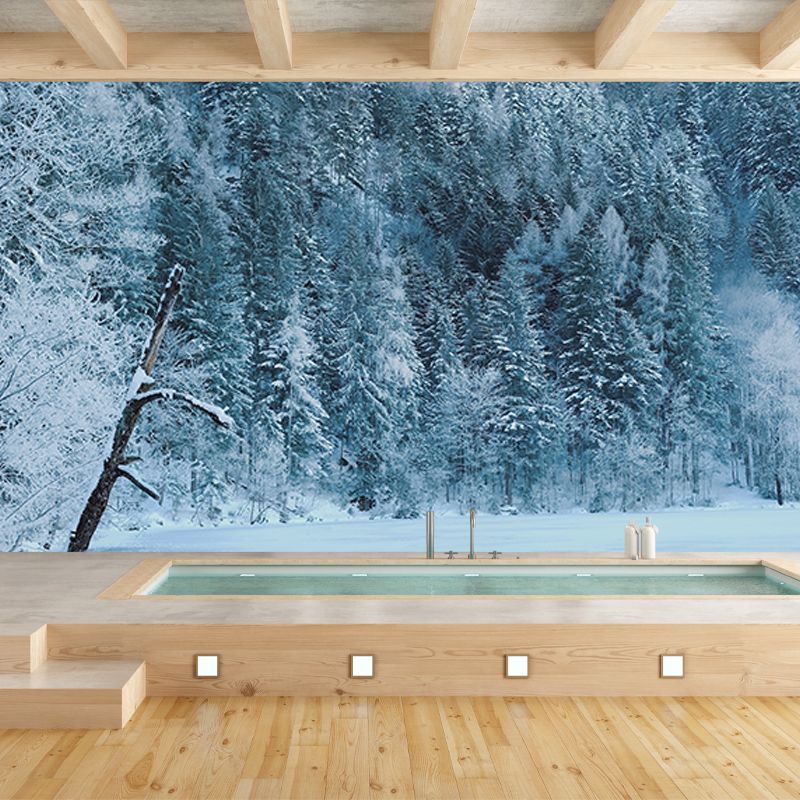 Natural Sky Forest Mural Horizontal Photography Room Wall Mural