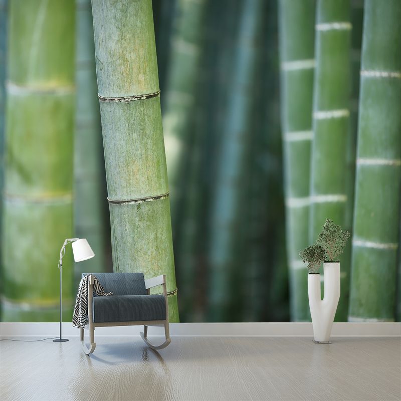 Bamboo Plant Mural for Home Decor Customized Wall Covering, Made to Measure