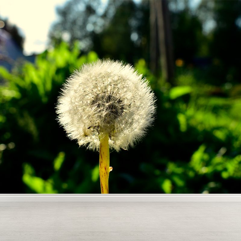 Modernism White Plant Mural Wallpaper Water Resistant, Made to Measure