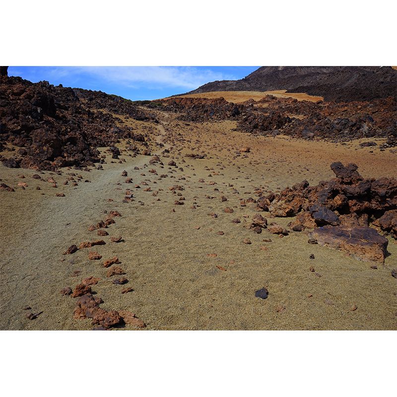 Boundless Desert Mural Environment Friendly Wallpaper for Sitting Room