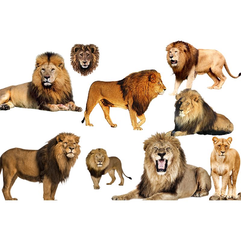 Contemporary Lions Murals Non-Woven Fabric Washable Brown Wall Covering for Accent Wall