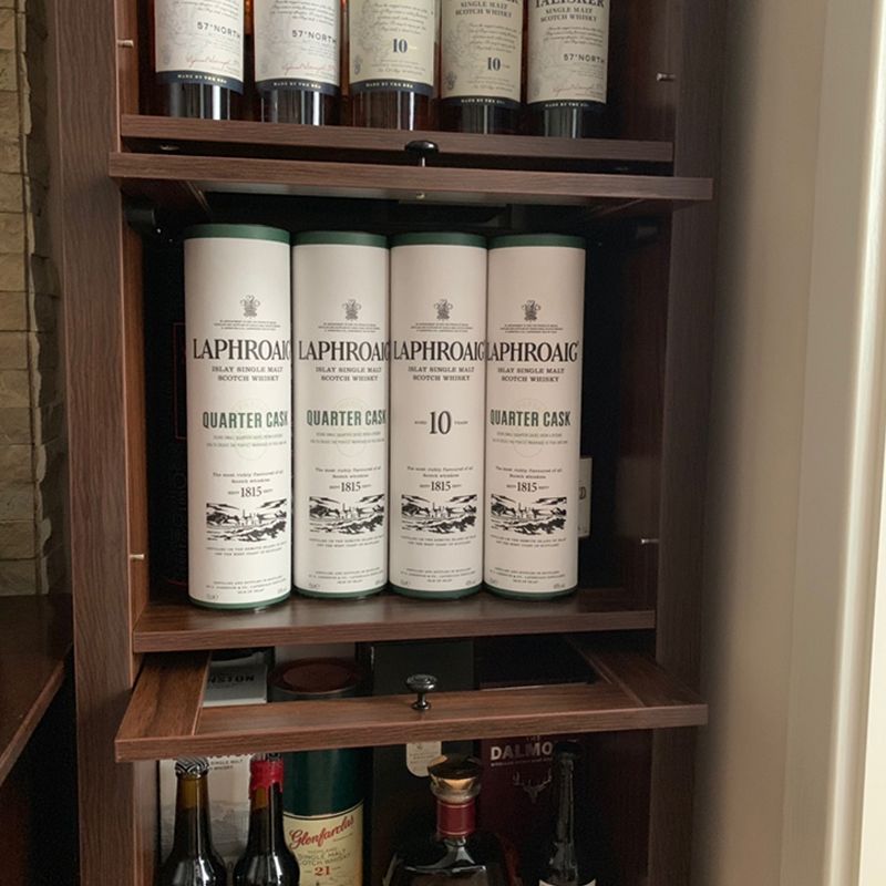 Engineered Wood Standard Bookcase Contemporary Bookcase With Doors