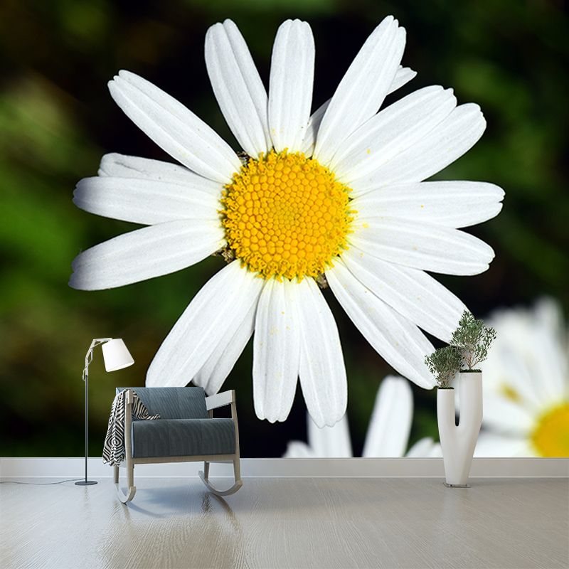Marguerite Flower Wall Mural for Sleeping Room Decoration, Custom Size Available