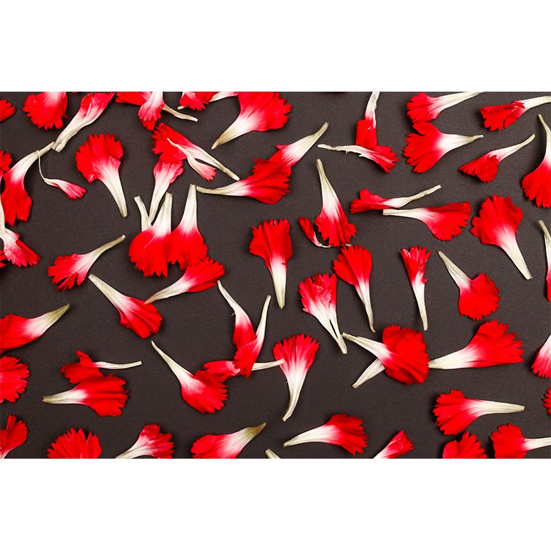 Beautiful Flower Wall Mural Decal Colorful Mural Wallpaper for Girl Bedroom