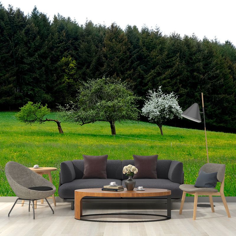 Spring Forest Scenery Wall Mural Contemporary Home Decor for Sitting Room