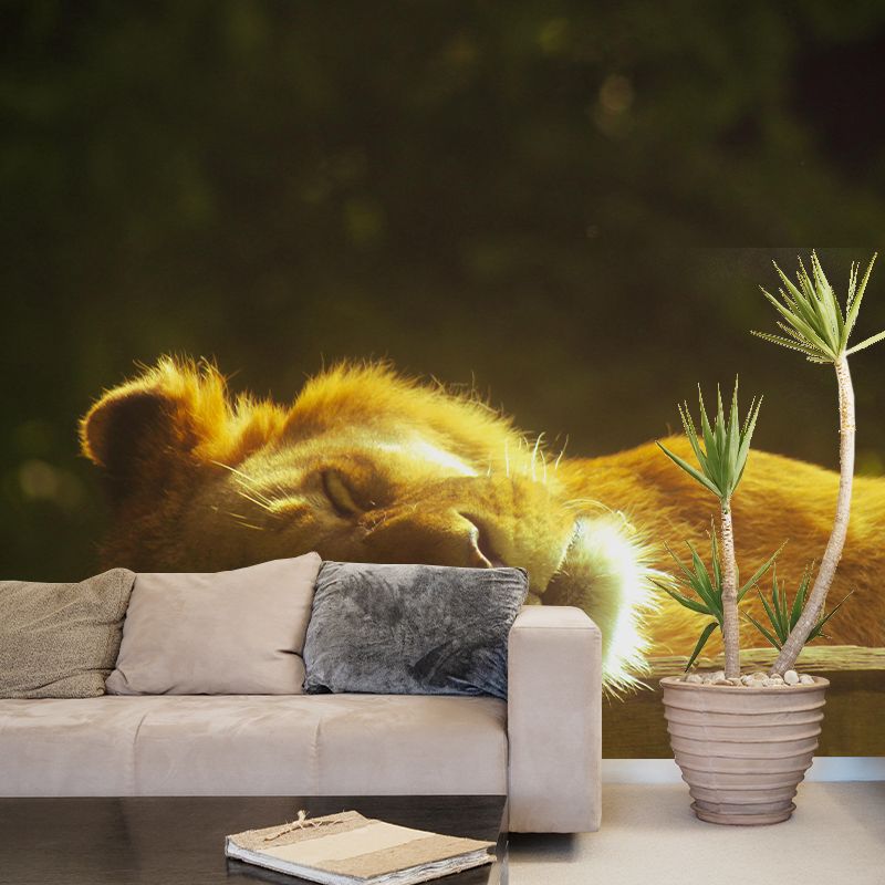 Customized Lion Wall Mural Horizontal Photography for Sleeping Room Decoration
