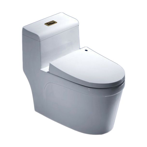Traditional Toilet Bowl One Piece Floor Mounted Siphon Jet Porcelain Toilet
