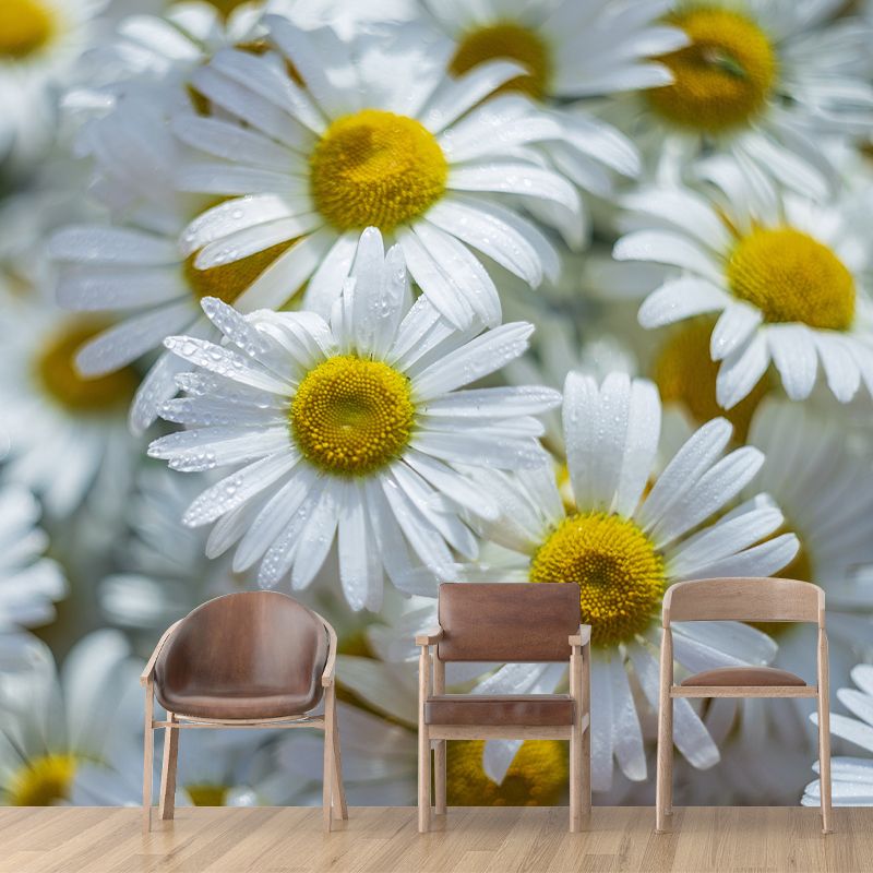 Chrysanthemum Wall Decor for Bedroom Moisture Resistant, Custom Size Available