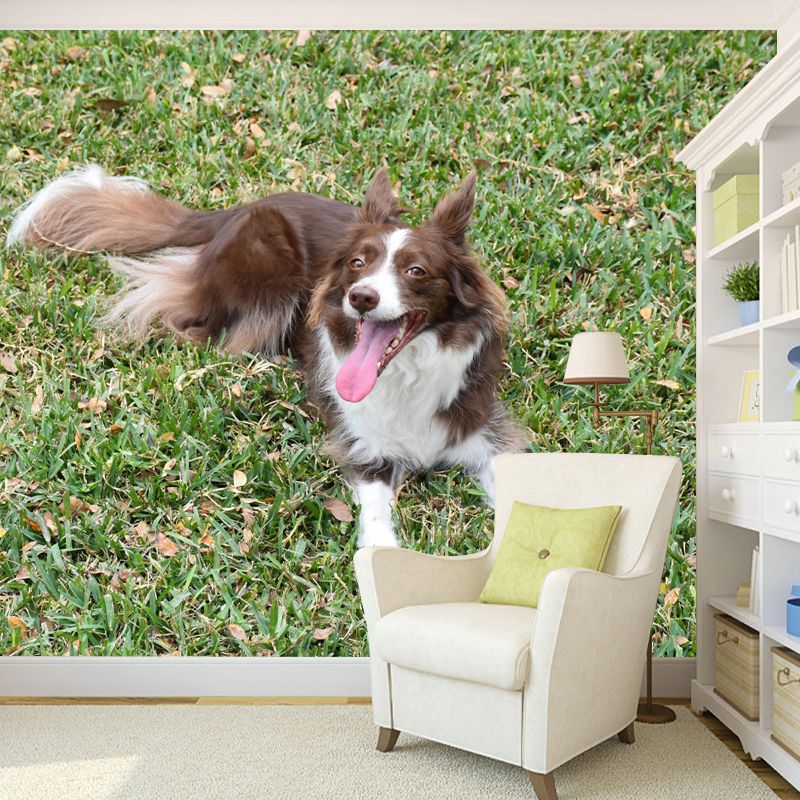 Lovely Border Collie Mural Wall Decor Living Room Wall Covering for Decoration