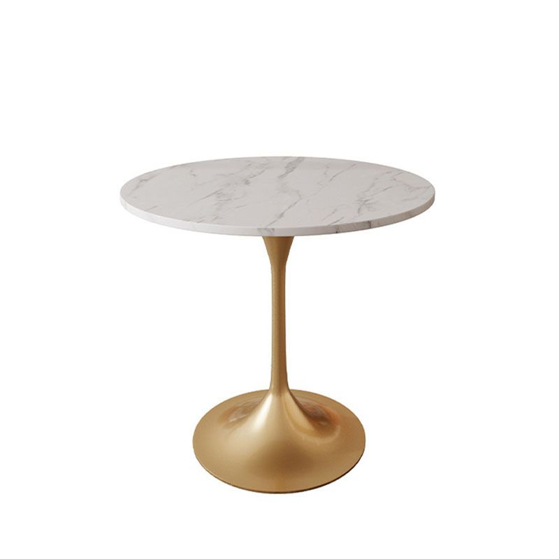 Modern Style Dining Table Sintered Stone Round Table for Dining Room