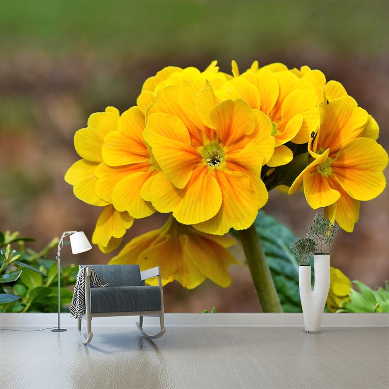 Flower Photo Stain Resistant Mural Decal Modern Wall Decor for Sleeping Room