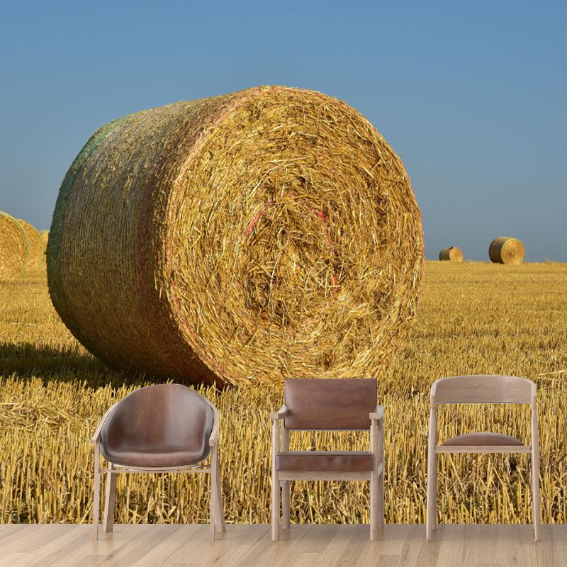 Customized Straw Bale Wall Mural Covering Mildew Resistant for Sleeping Room