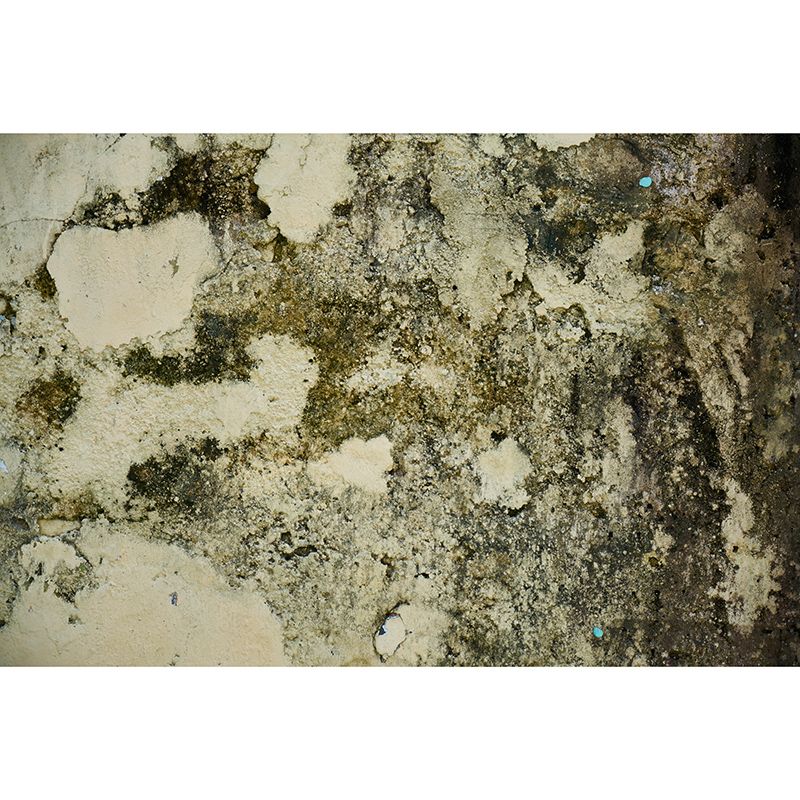 Wall Art Brick Wall Industrial Style Mural Wallpaper Horizontal Photography Living Room